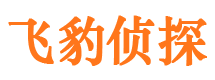 桂东侦探公司